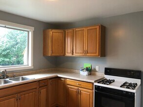 525 Minor in Kalamazoo, MI - Building Photo - Building Photo
