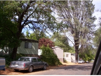 North Redding Mobile Home in Redding, CA - Building Photo