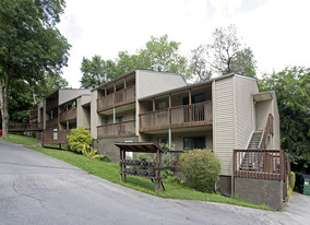 Shadowwood Apartments in Sevierville, TN - Building Photo