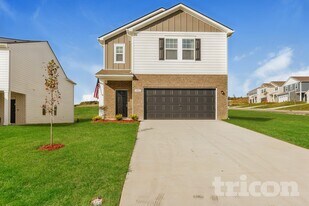 1066 Large Poppy Dr in La Vergne, TN - Building Photo