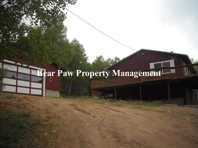 137 Eagle Dr in Bailey, CO - Building Photo - Building Photo