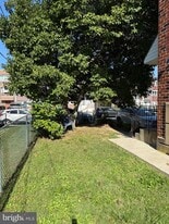 3124 Holly Rd in Philadelphia, PA - Building Photo