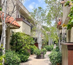 11825 Magnolia Apartments in North Hollywood, CA - Foto de edificio - Building Photo