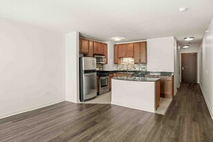 580 W Kinzie St in Chicago, IL - Building Photo