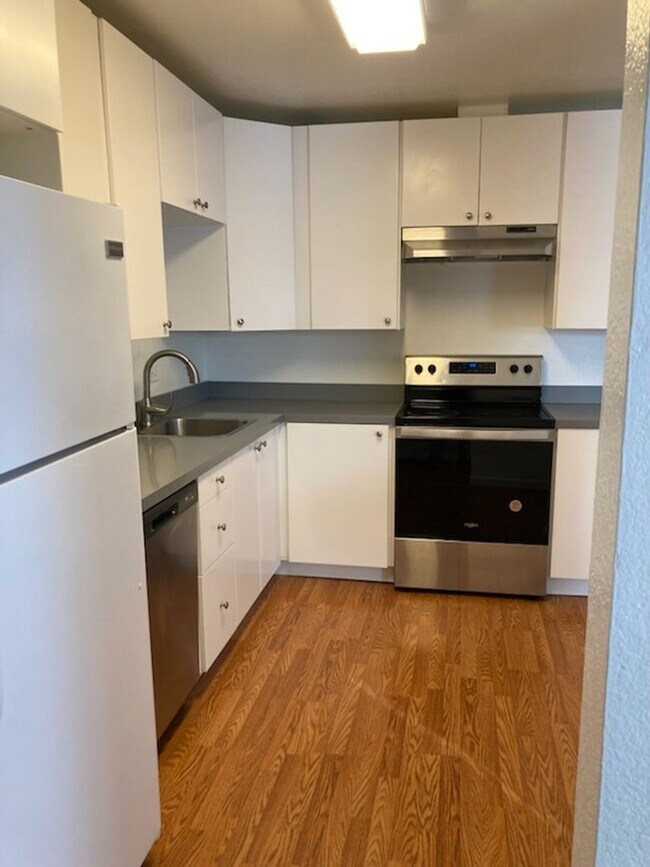 2072 Bluebell Dr in Santa Rosa, CA - Building Photo - Building Photo