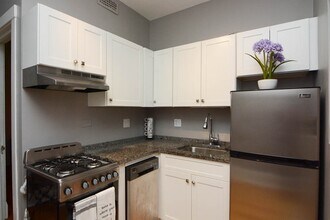 445 W Melrose St in Chicago, IL - Building Photo - Building Photo