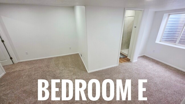 1805 Dewhirst Dr, Unit E in Colorado Springs, CO - Building Photo - Building Photo