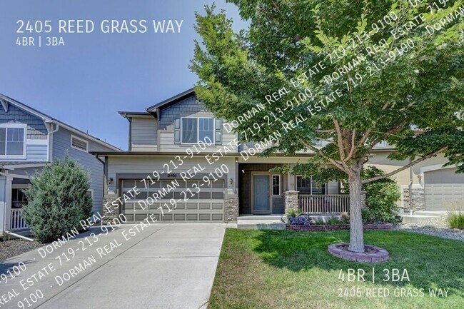 2405 Reed Grass Way in Colorado Springs, CO - Building Photo - Building Photo