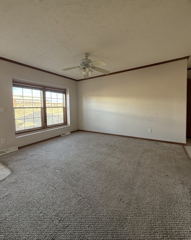 10202 Rodeo Park Dr in Poncha Springs, CO - Building Photo - Building Photo