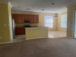 19138 Meadow Pine Dr in Tampa, FL - Building Photo - Building Photo