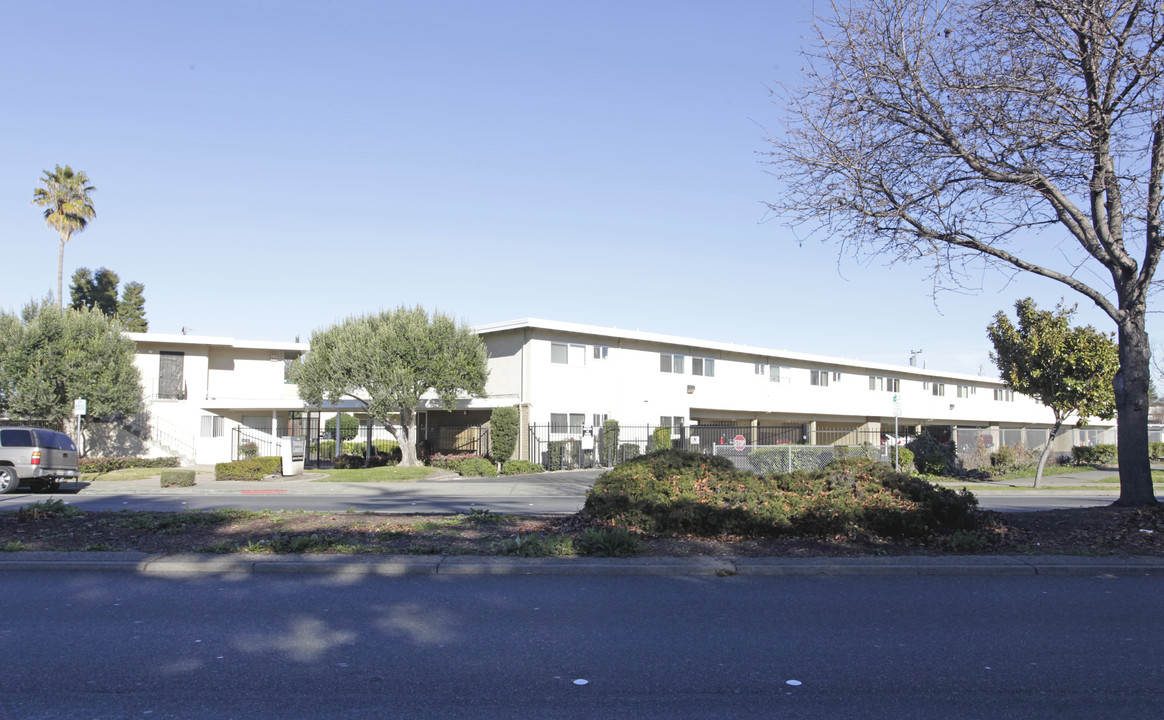 Triangle Garden Apartments in Hayward, CA - Building Photo