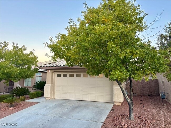 1020 Windhook St in Las Vegas, NV - Building Photo - Building Photo