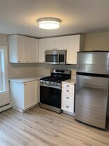 219 Albion St, Unit 3 in Wakefield, MA - Building Photo