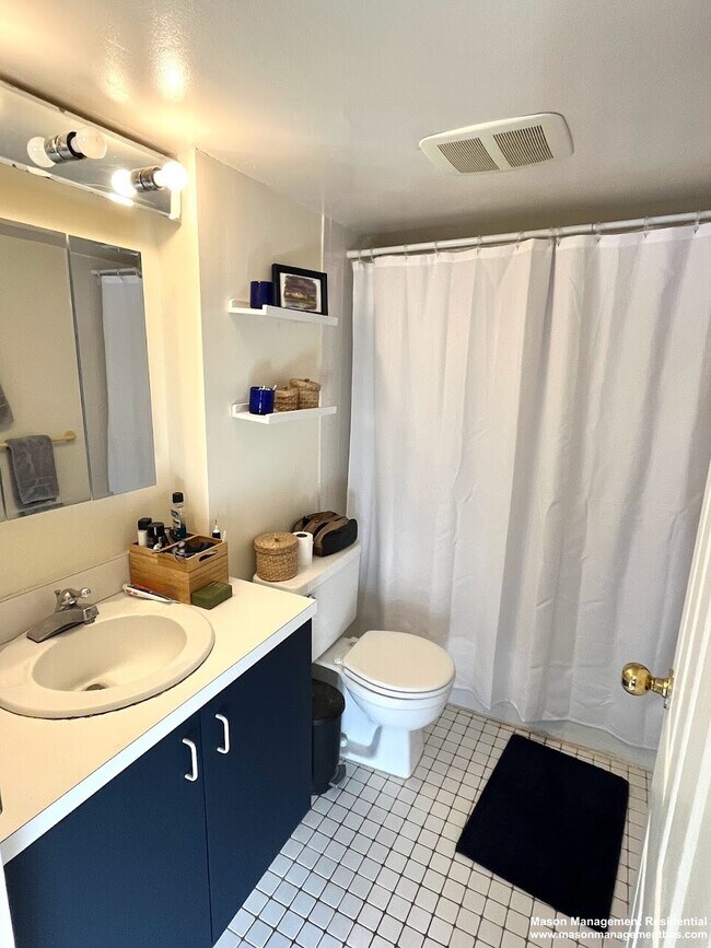 134 Pleasant St, Unit 8 in Brookline, MA - Building Photo - Building Photo