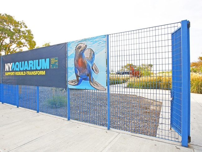 Apartamentos Alquiler en Coney Island, NY