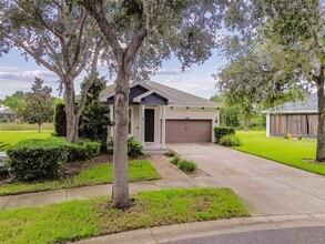 8249 Cressida Ct in Land O Lakes, FL - Building Photo - Building Photo