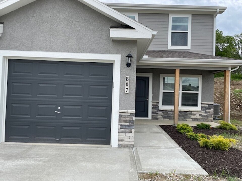807 Pampas St in Pleasant Hill, MO - Building Photo
