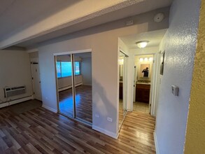 655 N Pearl St in Denver, CO - Building Photo - Building Photo