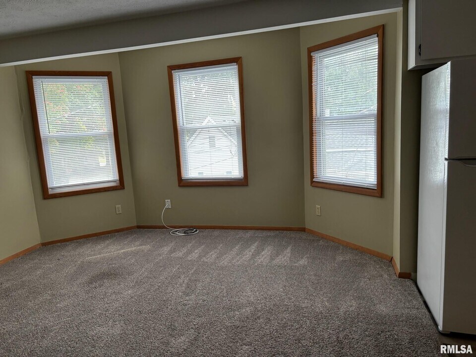 407 Carroll St in Pawnee, IL - Building Photo