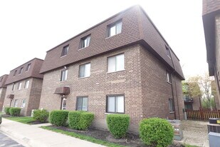 9813 Bianco Terrace in Des Plaines, IL - Building Photo