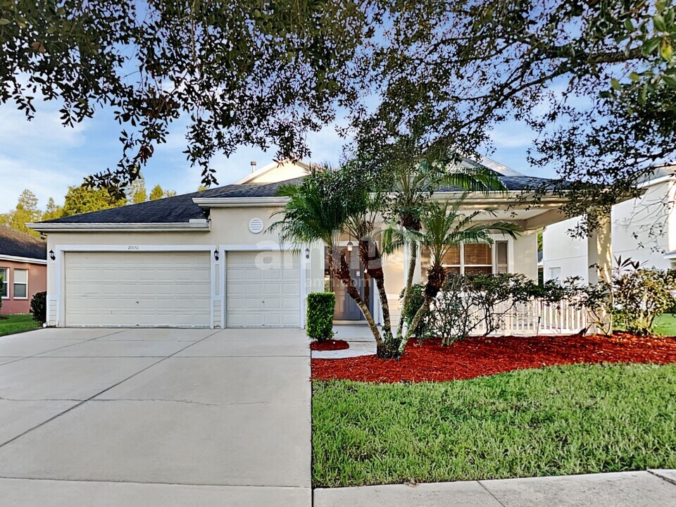 20052 Bluff Oak Blvd in Tampa, FL - Building Photo