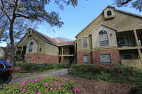 The Grand Reserve in Tampa, FL - Foto de edificio - Building Photo