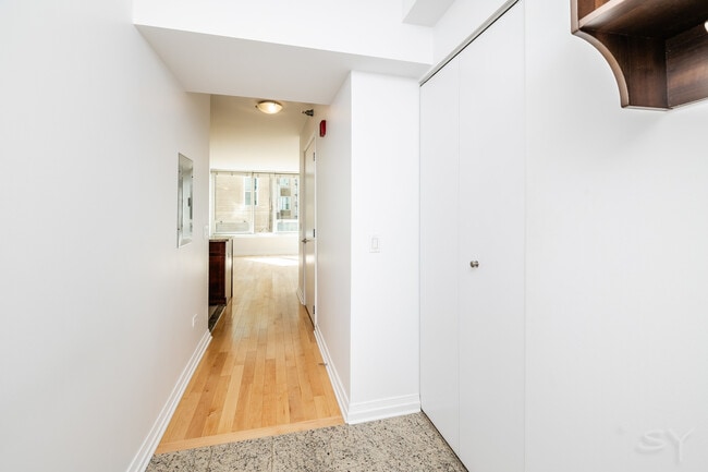 33 W Ontario St in Chicago, IL - Building Photo - Building Photo