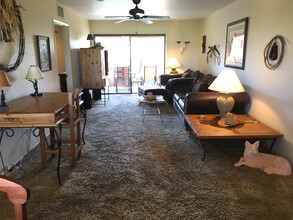 4303 E Cactus Rd in Phoenix, AZ - Building Photo - Building Photo