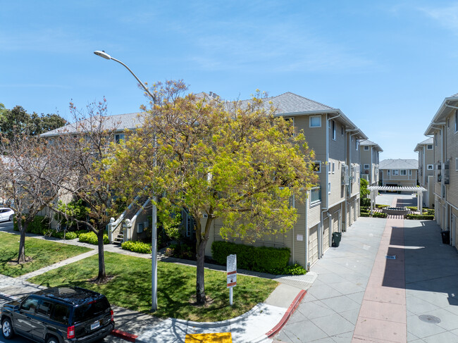 Blossom Circle in San Mateo, CA - Building Photo - Building Photo