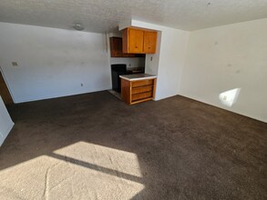 1885 N Taylor Rd in Cleveland, OH - Building Photo - Building Photo