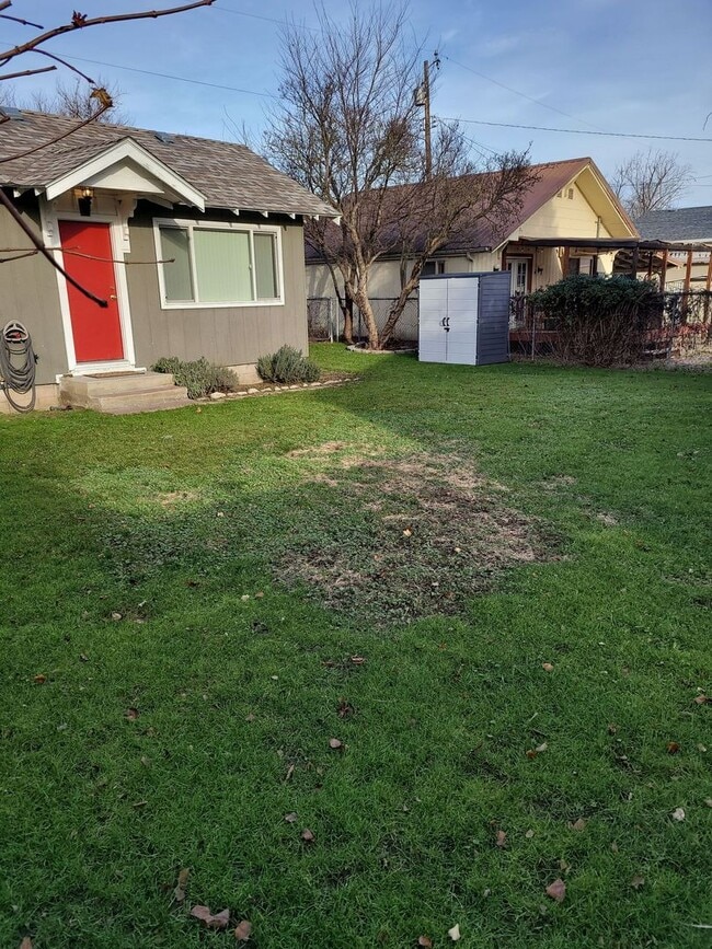 1110 Morgan Ave in Lewiston, ID - Building Photo - Building Photo
