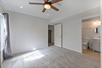 8203 Mahogany Wood Ct, Unit Basement in Colorado Springs, CO - Building Photo - Building Photo