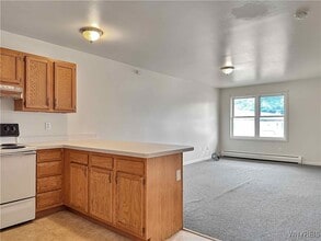 20 Orchard St in Geneseo, NY - Building Photo - Building Photo