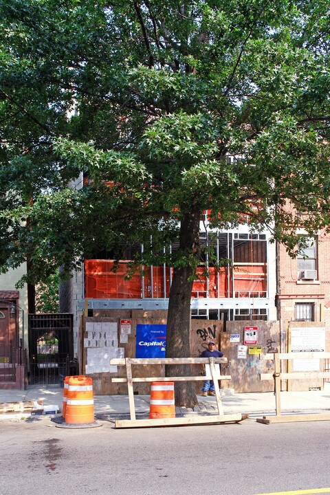 534 6th Ave in Brooklyn, NY - Building Photo