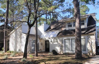 6502 Spring Leaf Dr in Spring, TX - Building Photo - Building Photo