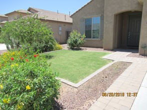 3080 S Dakota Pl in Chandler, AZ - Building Photo - Building Photo