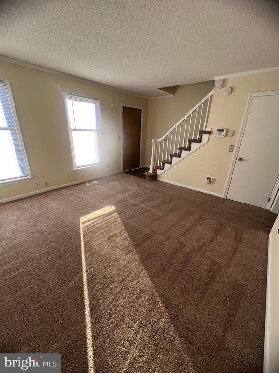 1219 Apple St in Wilmington, DE - Building Photo - Building Photo