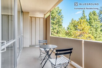 501 Forest Ave-Unit -FL5-ID1298 in Palo Alto, CA - Building Photo - Building Photo