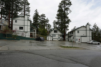 714 Paine Rd in Big Bear Lake, CA - Building Photo - Primary Photo