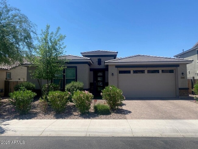 1381 E Scorpio Pl in Chandler, AZ - Building Photo - Building Photo