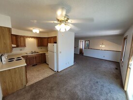 1139 66th St in Windsor Heights, IA - Building Photo