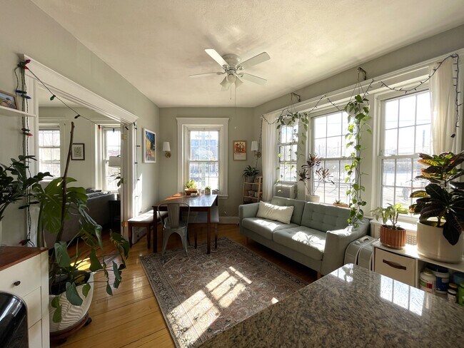 374 Chestnut Hill Ave, Unit 4 in Boston, MA - Foto de edificio - Building Photo