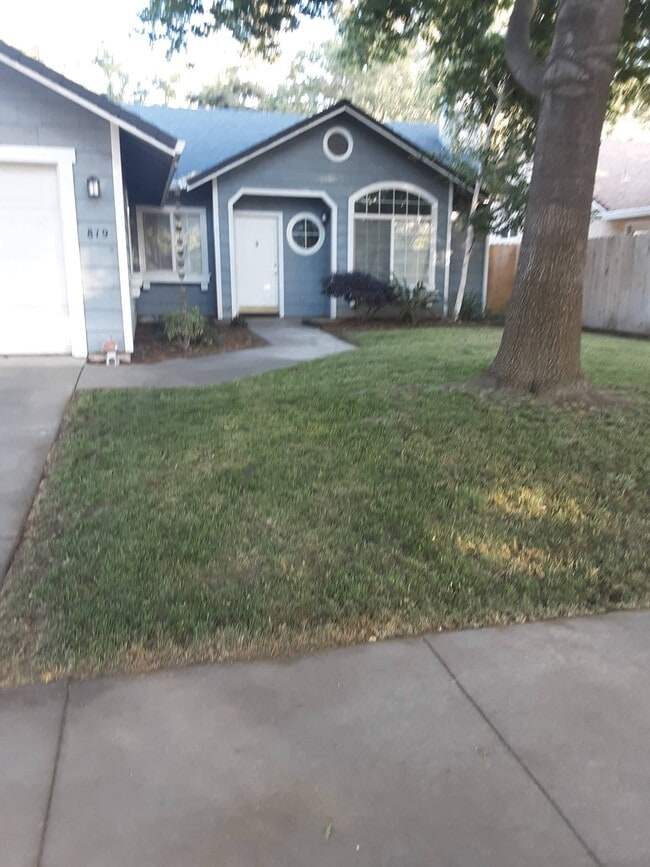 property at 819 Black Walnut Way
