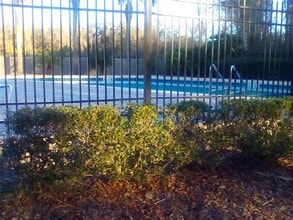 4824 NW 80th Rd in Gainesville, FL - Building Photo - Building Photo