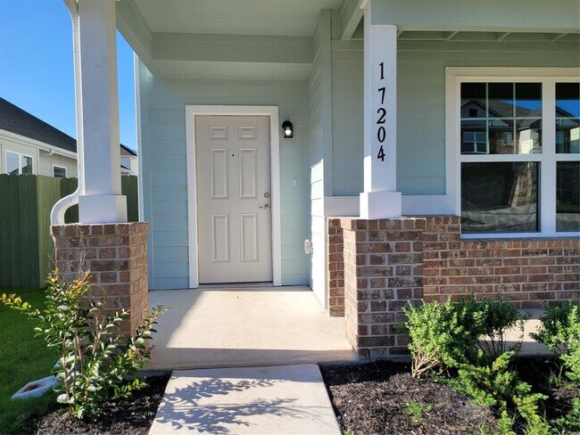 17204 Adoro Dr in Manor, TX - Building Photo - Building Photo