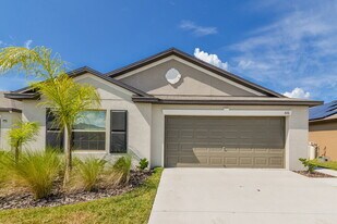 816 Calico Scallop St in Ruskin, FL - Building Photo