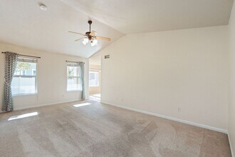 1373 Sunset Bay Dr in Windsor, CO - Building Photo - Building Photo