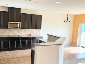 18824 Star Gazer Way in Pflugerville, TX - Building Photo - Building Photo
