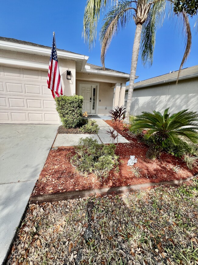 25929 Terrawood Loop in Land O Lakes, FL - Building Photo - Building Photo
