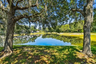 8232 Stockton Way in Tampa, FL - Foto de edificio - Building Photo